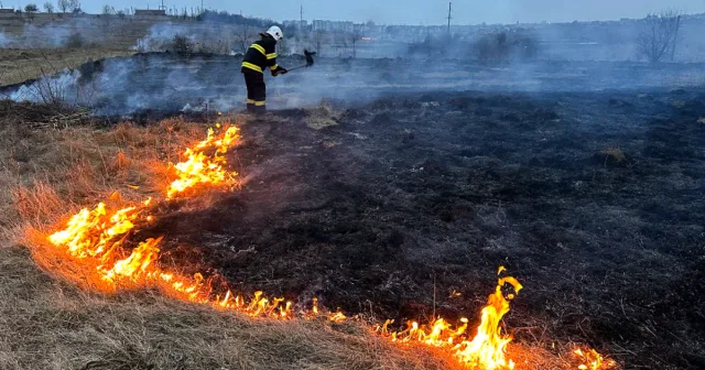 На Вінниччині вчора рятувальники ліквідували 29 пожеж в екосистемах