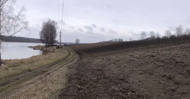 На Вінниччині виявили факт розорювання земель у прибережній зоні ставка