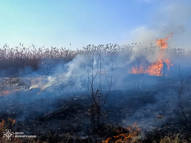 На Вінниччині минулої доби сталось 15 пожеж