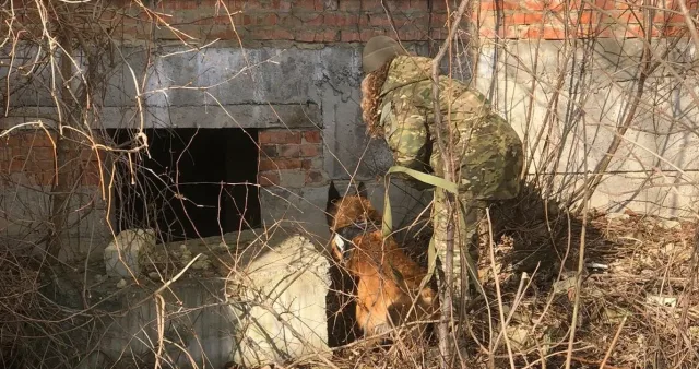 На Вінниччині відбулись спільні навчання ДСНС, поліції, медиків та кінологів