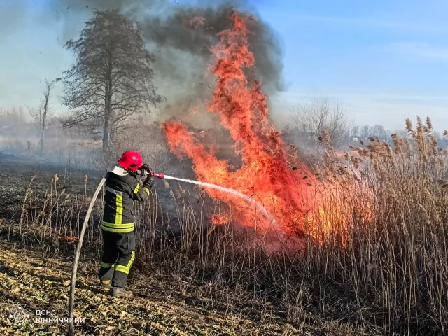 На Вінниччині за минулу добу сталось 95 пожеж