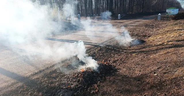 На Вінниччині жінку, яка спалювала рослинність та її залишки, оштрафували на понад 3 тисячі гривень