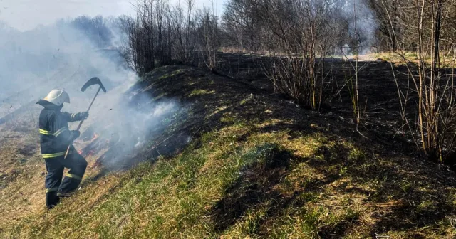 На Вінниччині минулої доби сталось 11 пожеж на відкритих територіях