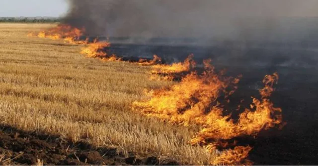 У Вінниці почали працювати мобільні групи з протидії спалюванню сухостою