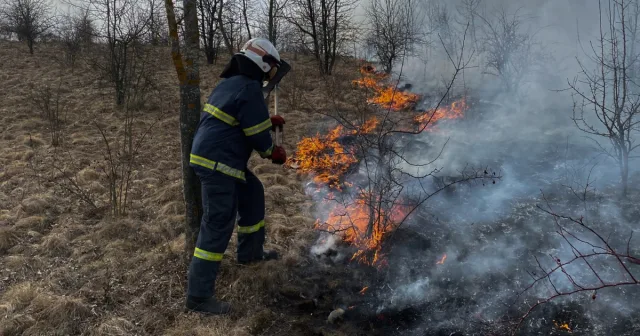 На Вінниччині минулої доби рятувальники ліквідували 9 пожеж