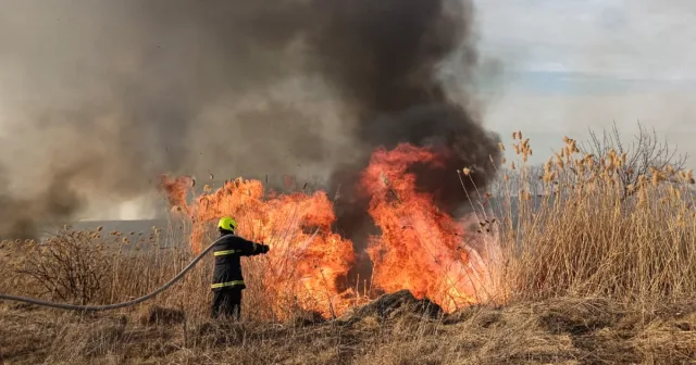 На Вінниччині минулої доби рятувальники ліквідували 101 пожежу