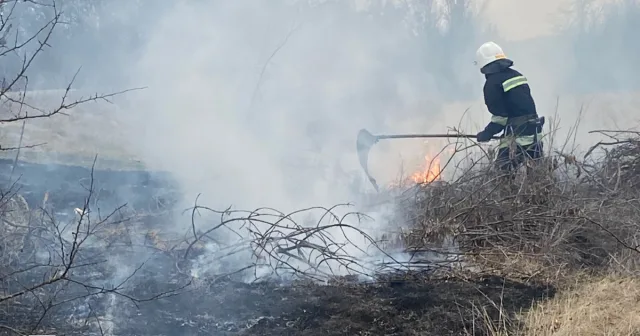 На Вінниччині минулої доби ліквідували 11 пожеж