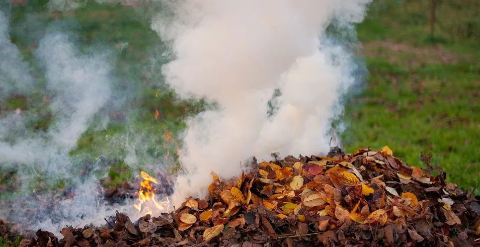 Зображення до новини