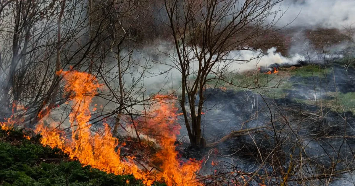Зображення до новини