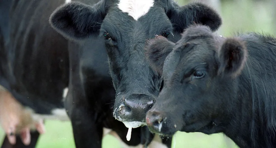 Зображення до новини