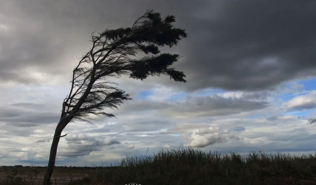 Зображення до новини