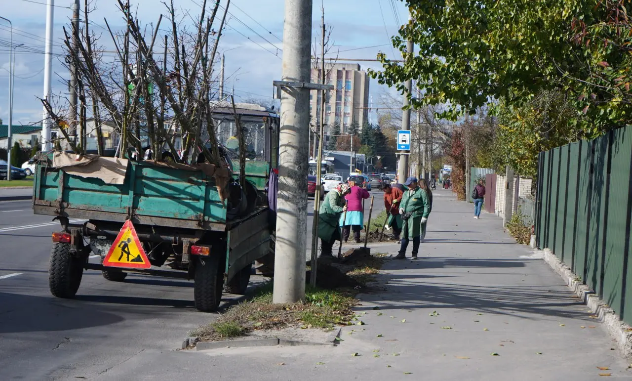 photo_2025-10-28_13-03-24 2 - Vежа