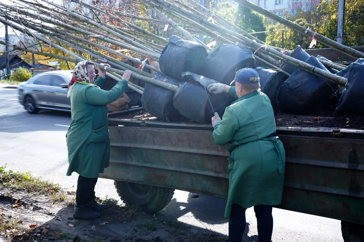 photo_2025-10-28_13-03-24 - Vежа