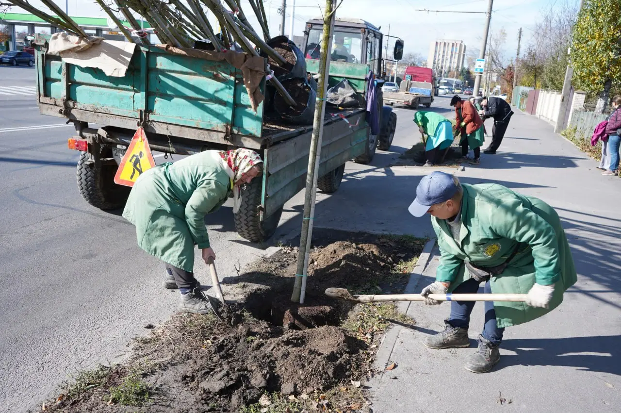 photo_2025-10-28_13-03-25 - Vежа