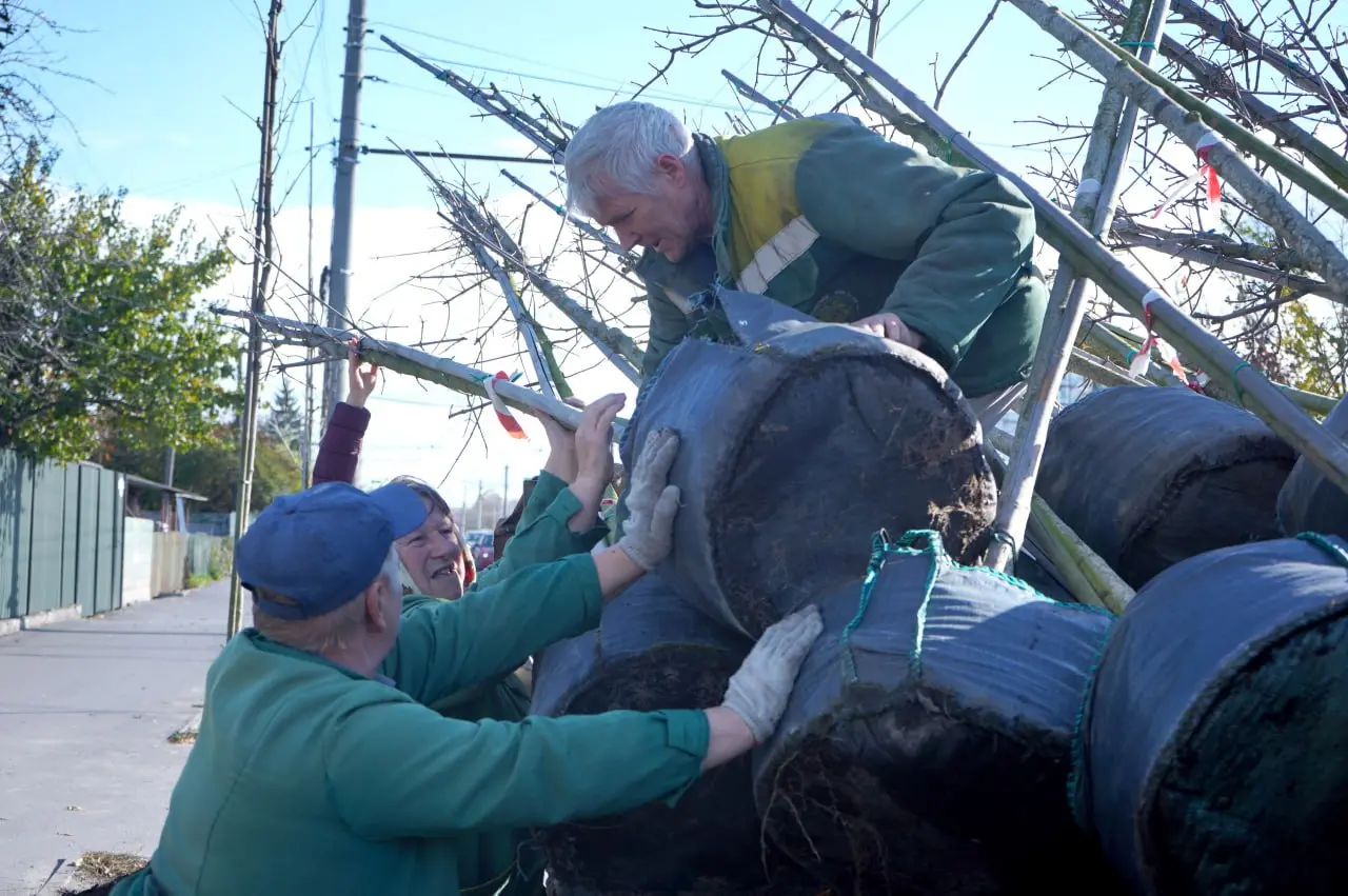 photo_2025-10-28_13-03-27 2 - Vежа