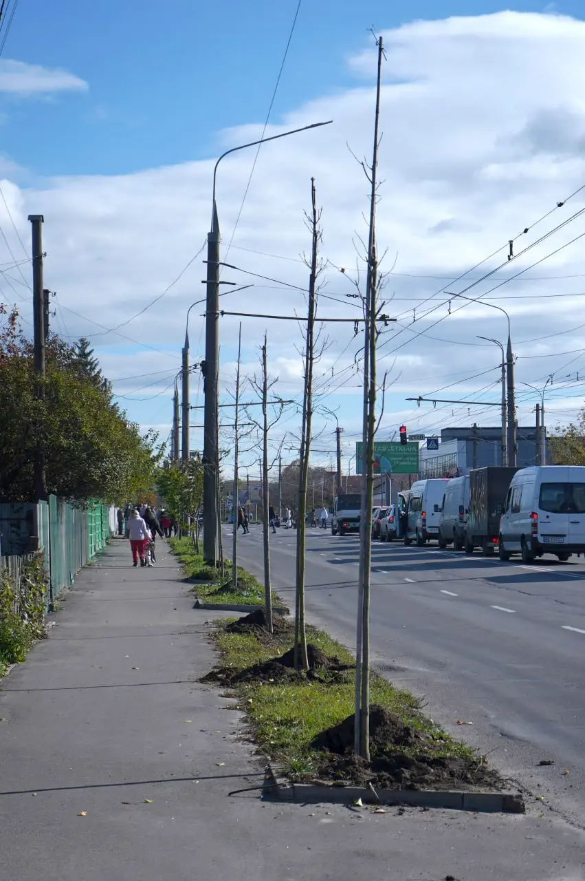 photo_2025-10-28_13-03-27 - Vежа