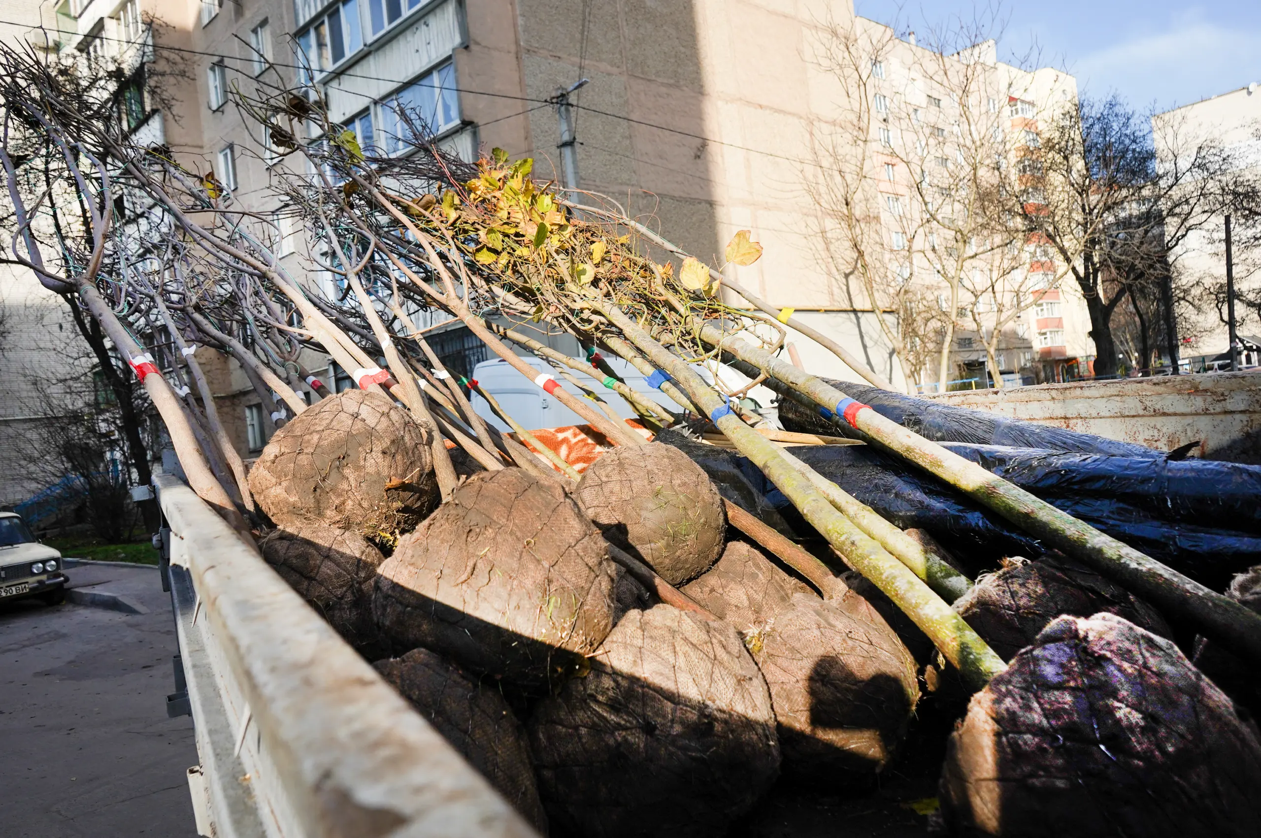 02_VIN00020 - Vежа