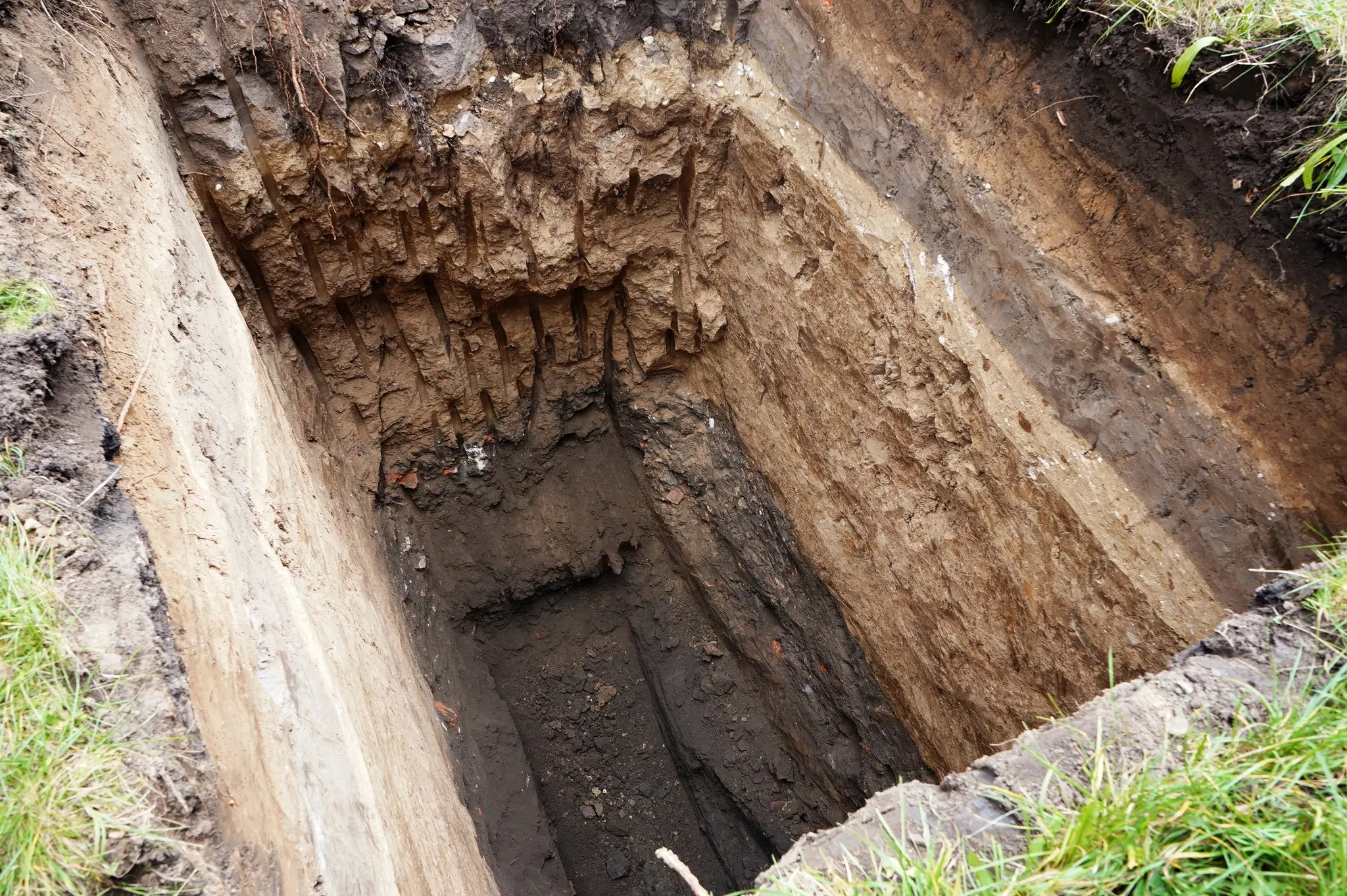 574560409_866578955724316_3997890448869259630_n - Vежа