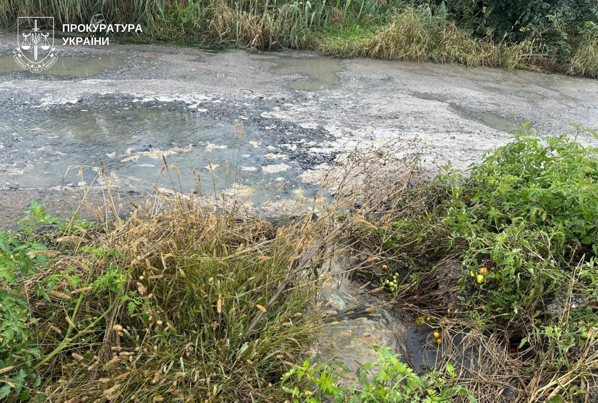 574881043_825813937055870_8055327063879701603_n - Vежа