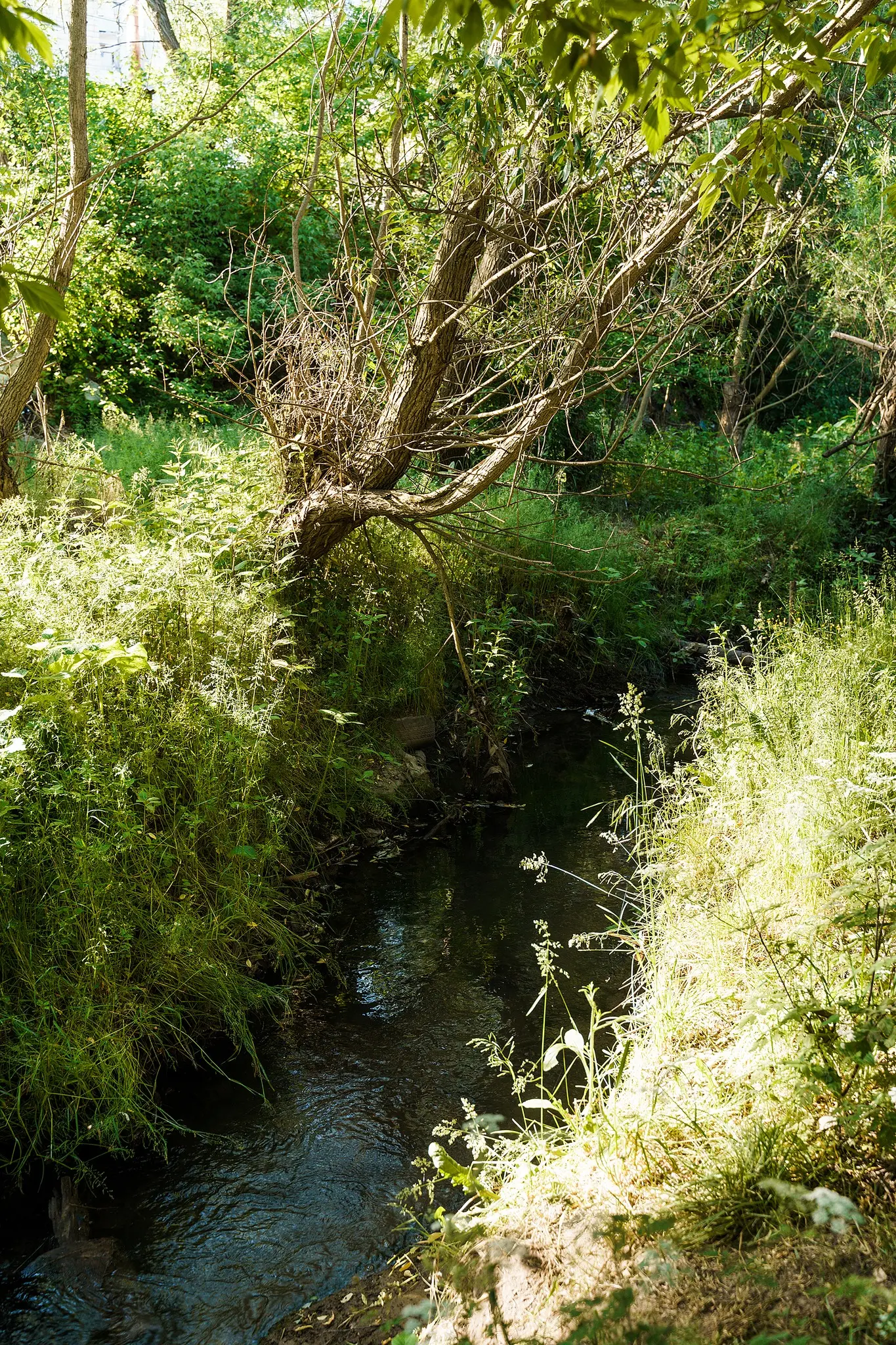 576469282_875675645026196_6619179594611270431_n - Vежа