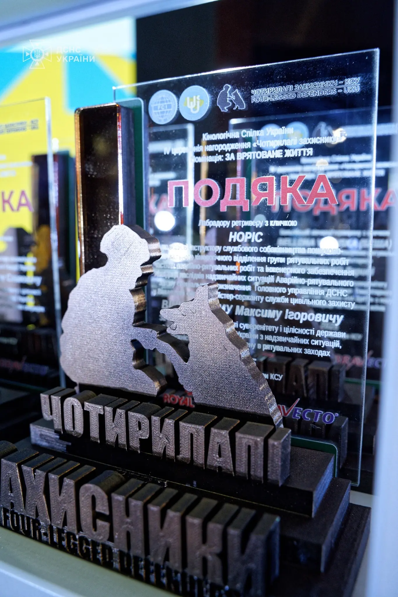 584280212_1275433247957895_8327165113846648866_n - Vежа