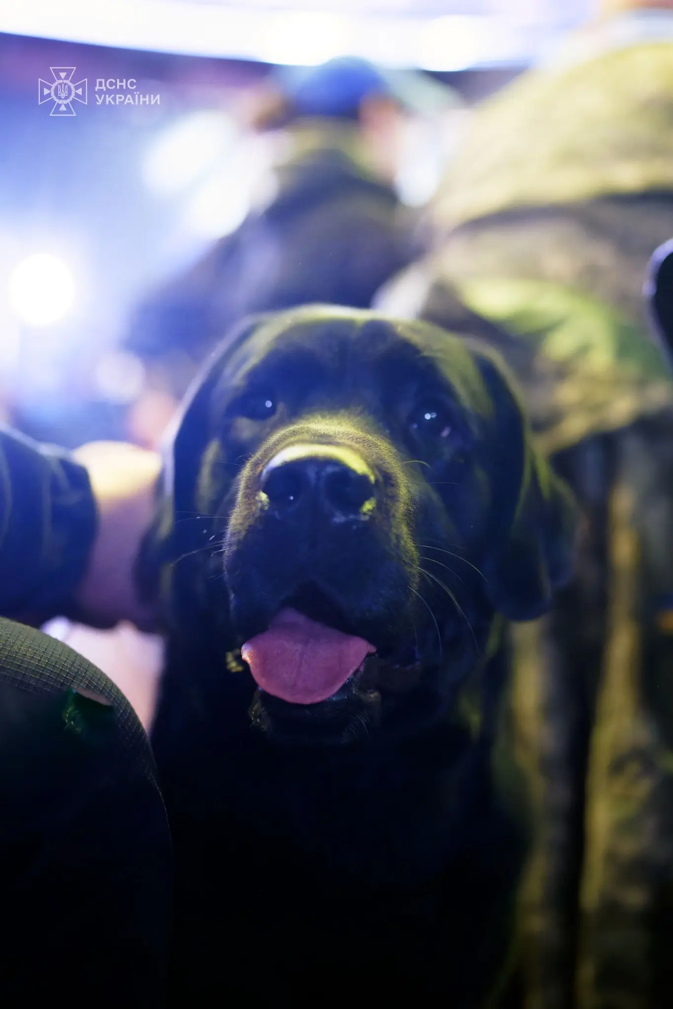 584298997_1275435454624341_1384870353489840403_n - Vежа