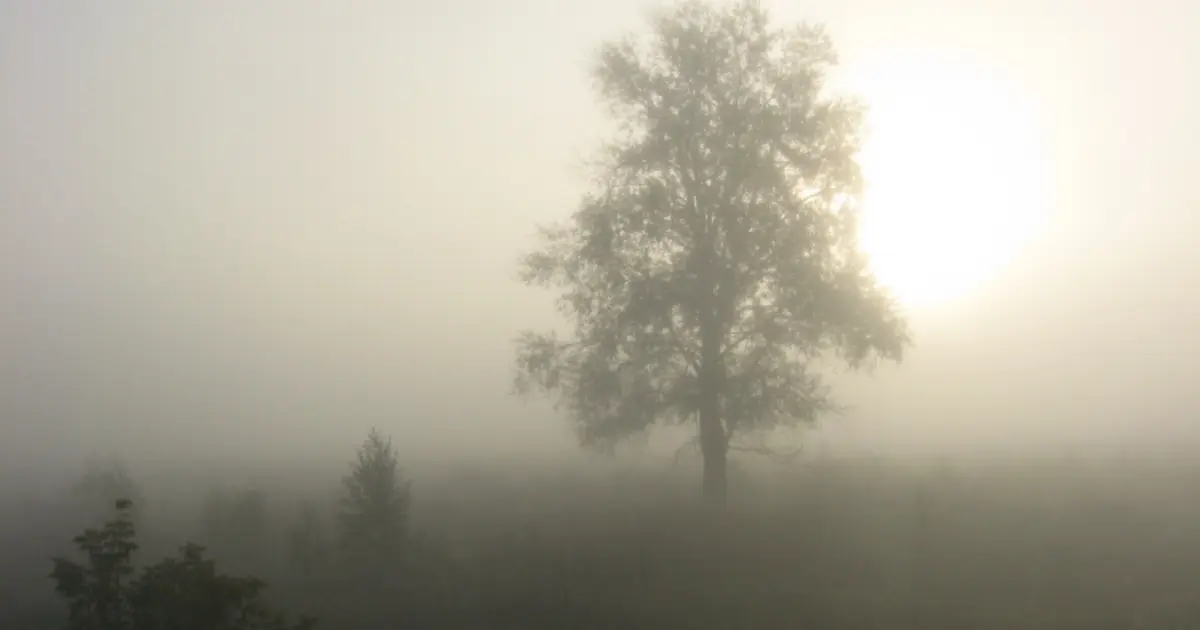 Зображення до новини