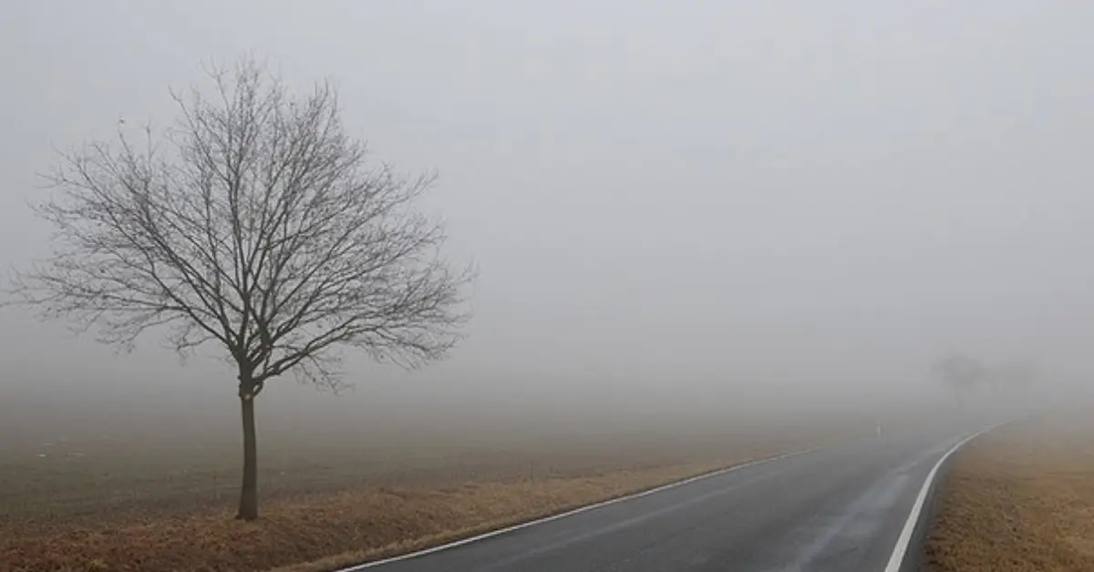 Зображення до новини