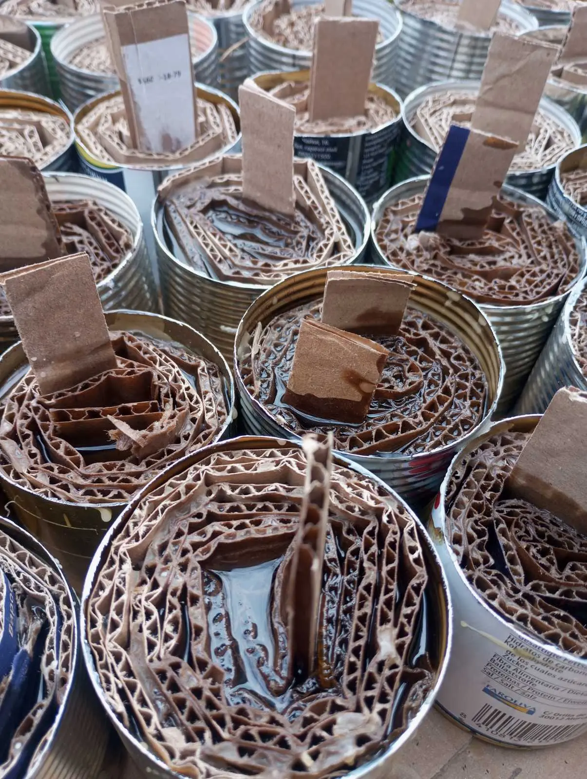 ba86c6849a2185a8acb0d6f866e21449 - Vежа