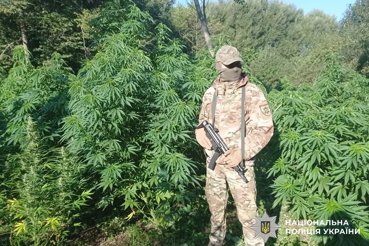 v15_44185dd911c7e04260bef9c6b28234df - Vежа