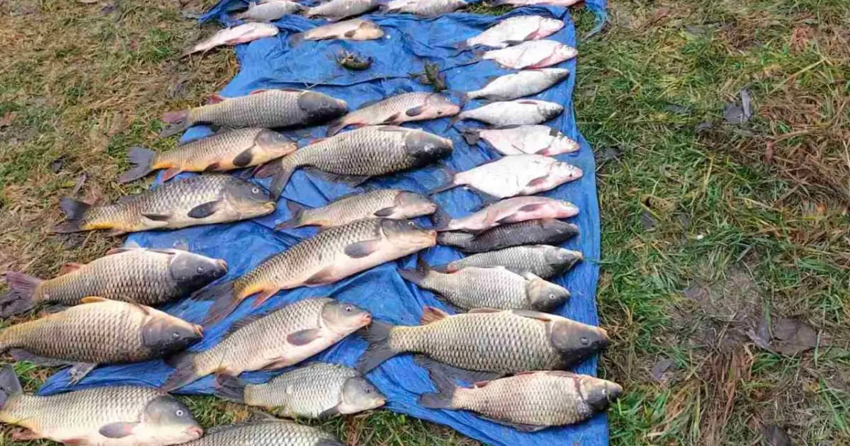 Зображення до новини