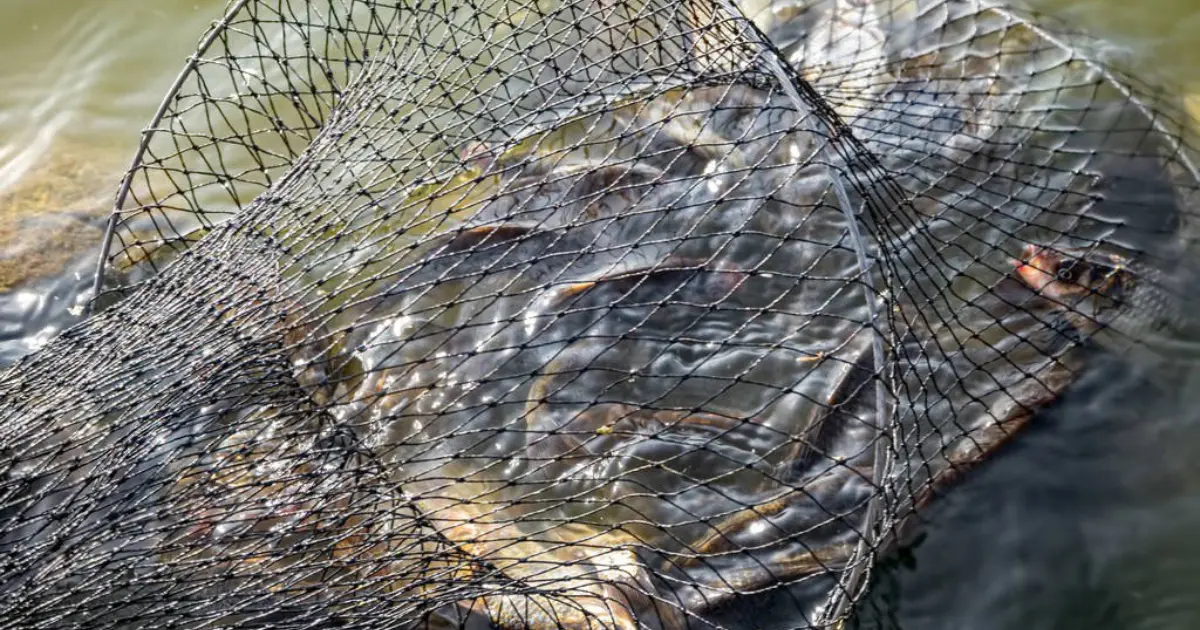 Зображення до новини