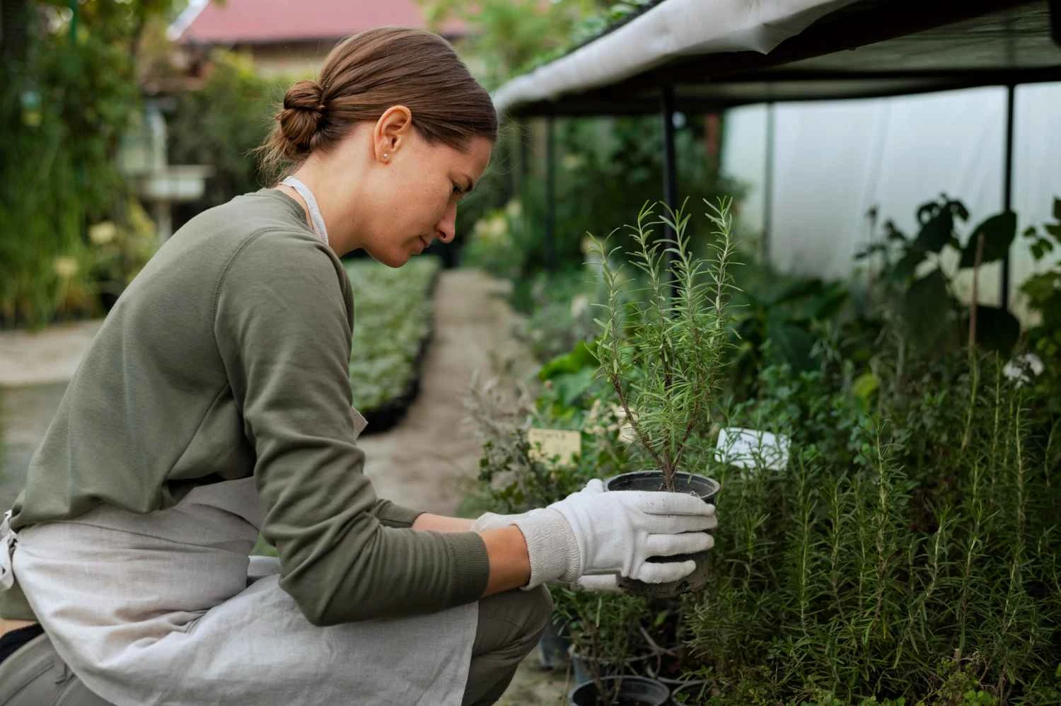 Зображення до новини