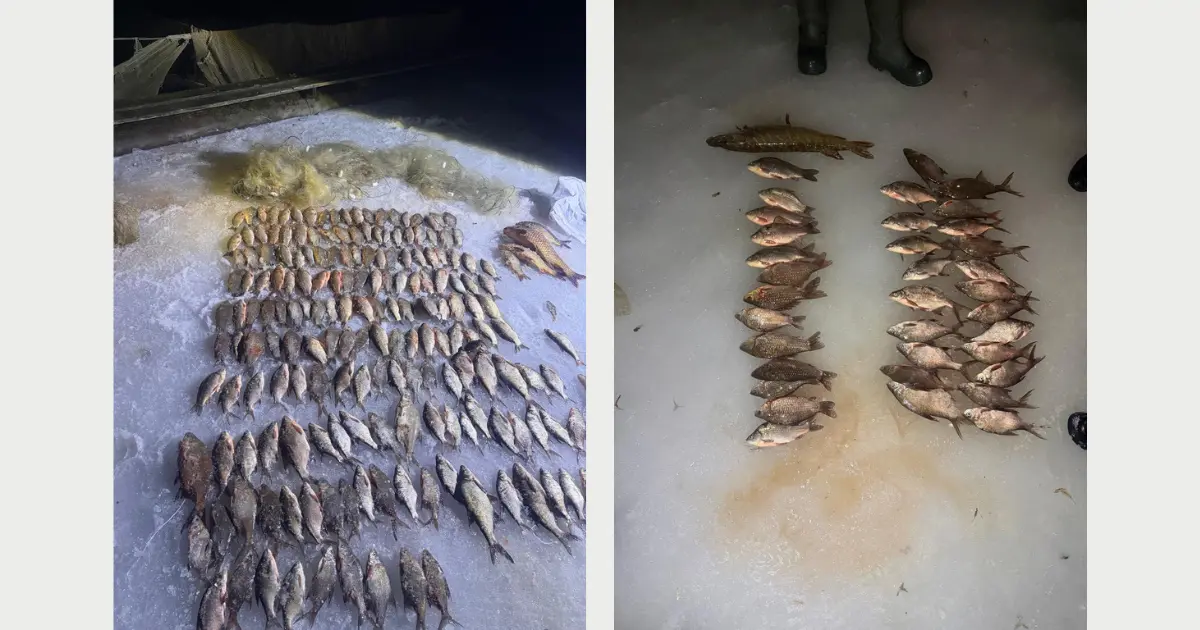 Зображення до новини