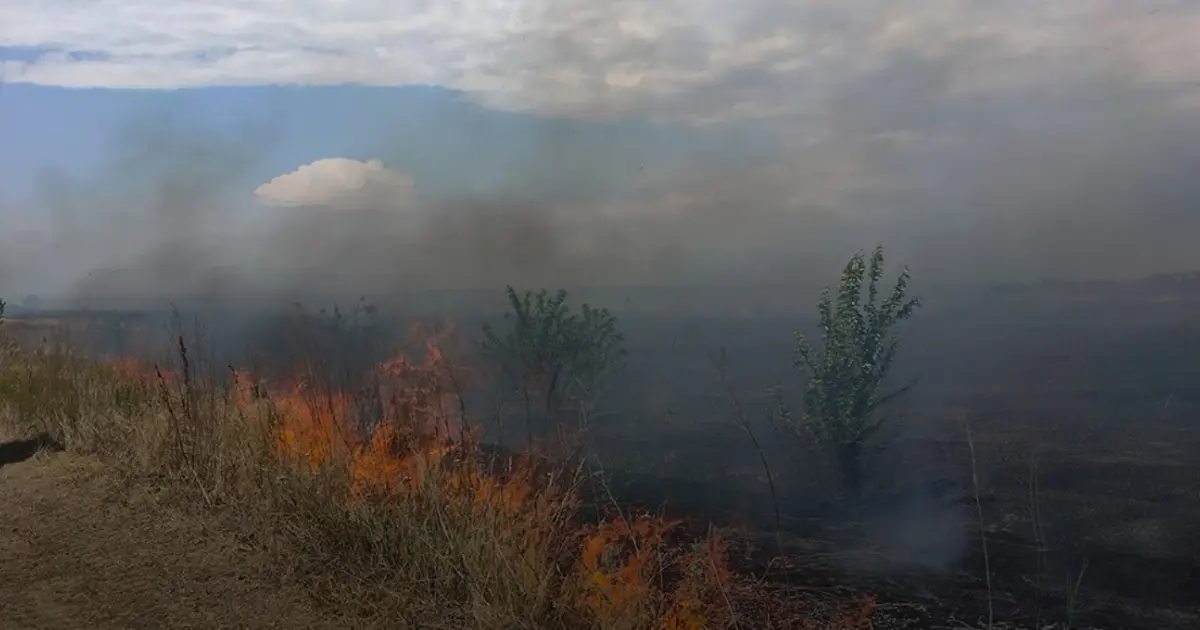 Зображення до новини