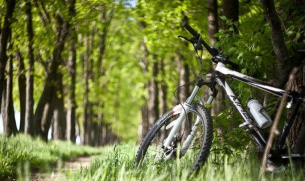 Зображення до новини