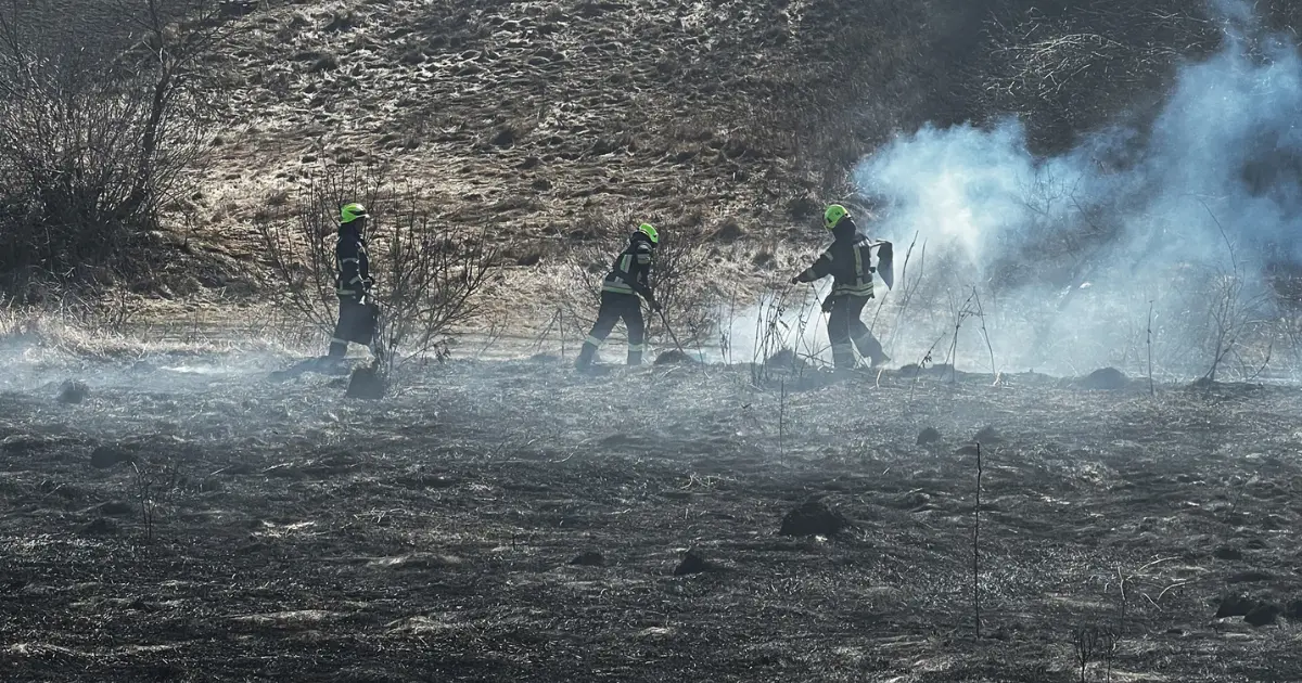 Зображення до новини