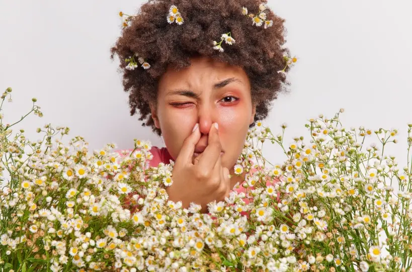 Зображення до новини