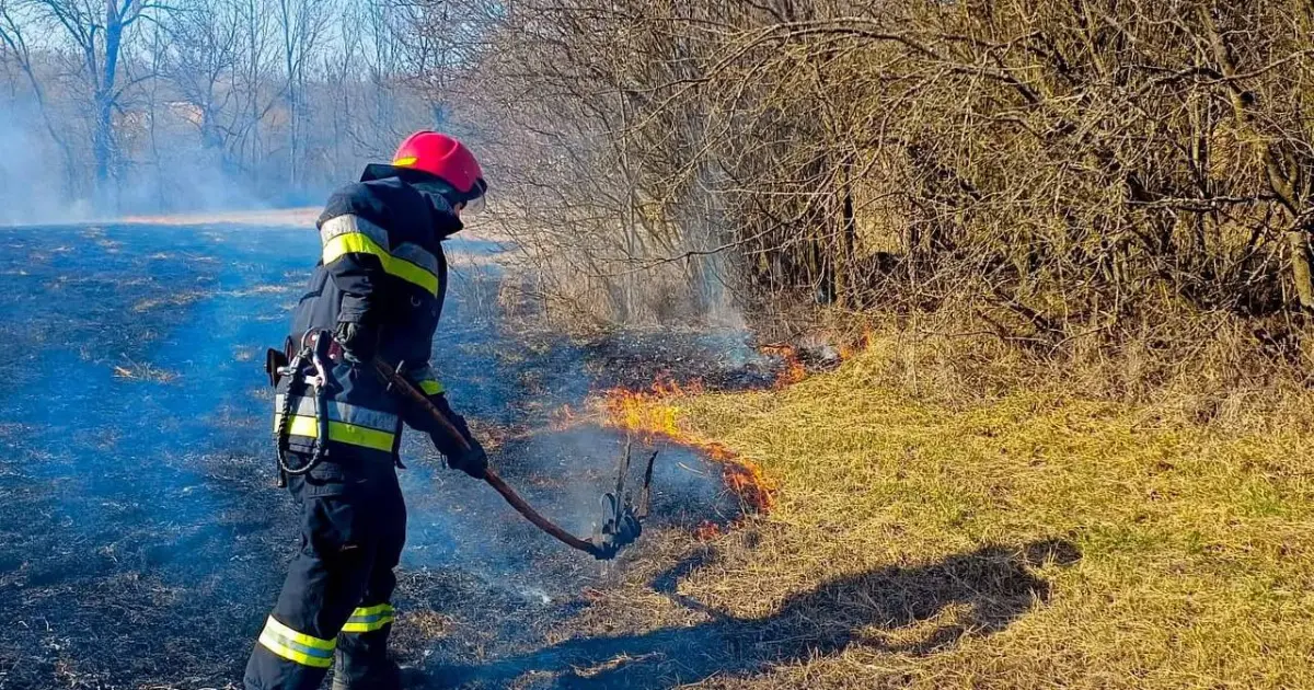 Зображення до новини