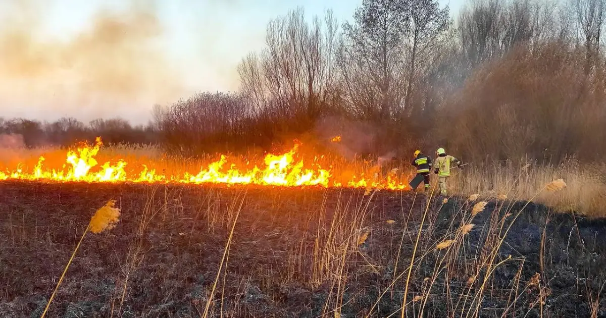 Зображення до новини