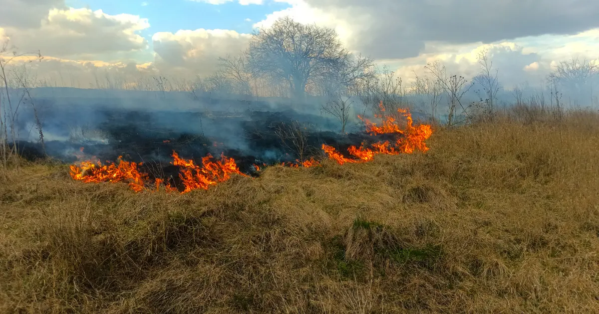 Зображення до новини