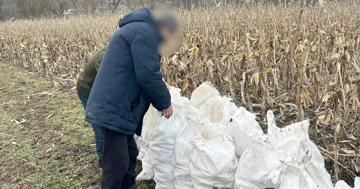 Зображення до новини