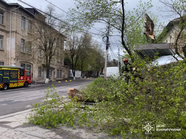Fallen tree branches block a city street as firefighters and a red fire truck respond nearby near a beige brick building.