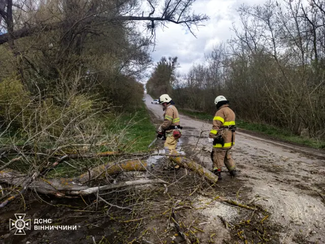 Two firefighters in protective gear stand on a muddy rural road cluttered with fallen branches after a storm/or high winds.