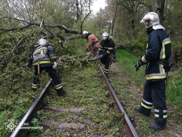 Firefighters in protective gear clearing a fallen tree off a railway track in a wooded area.