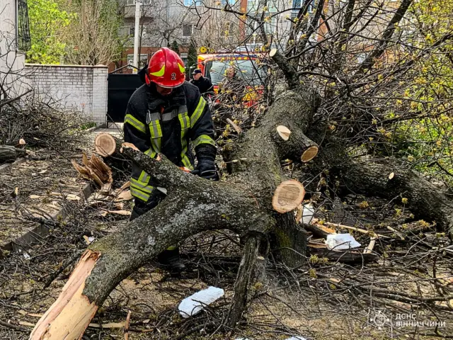 Firefighters in gear cutting up a fallen tree blocking a street, with an emergency vehicle in the background.