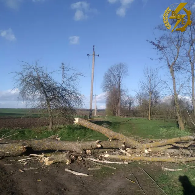 Fallen tree trunk and large branches across a rural road, with a damaged trunk, scattered wood pieces, and a leaning utility pole against a blue sky; open fields in the background. Watermark logo in the top-right corner.