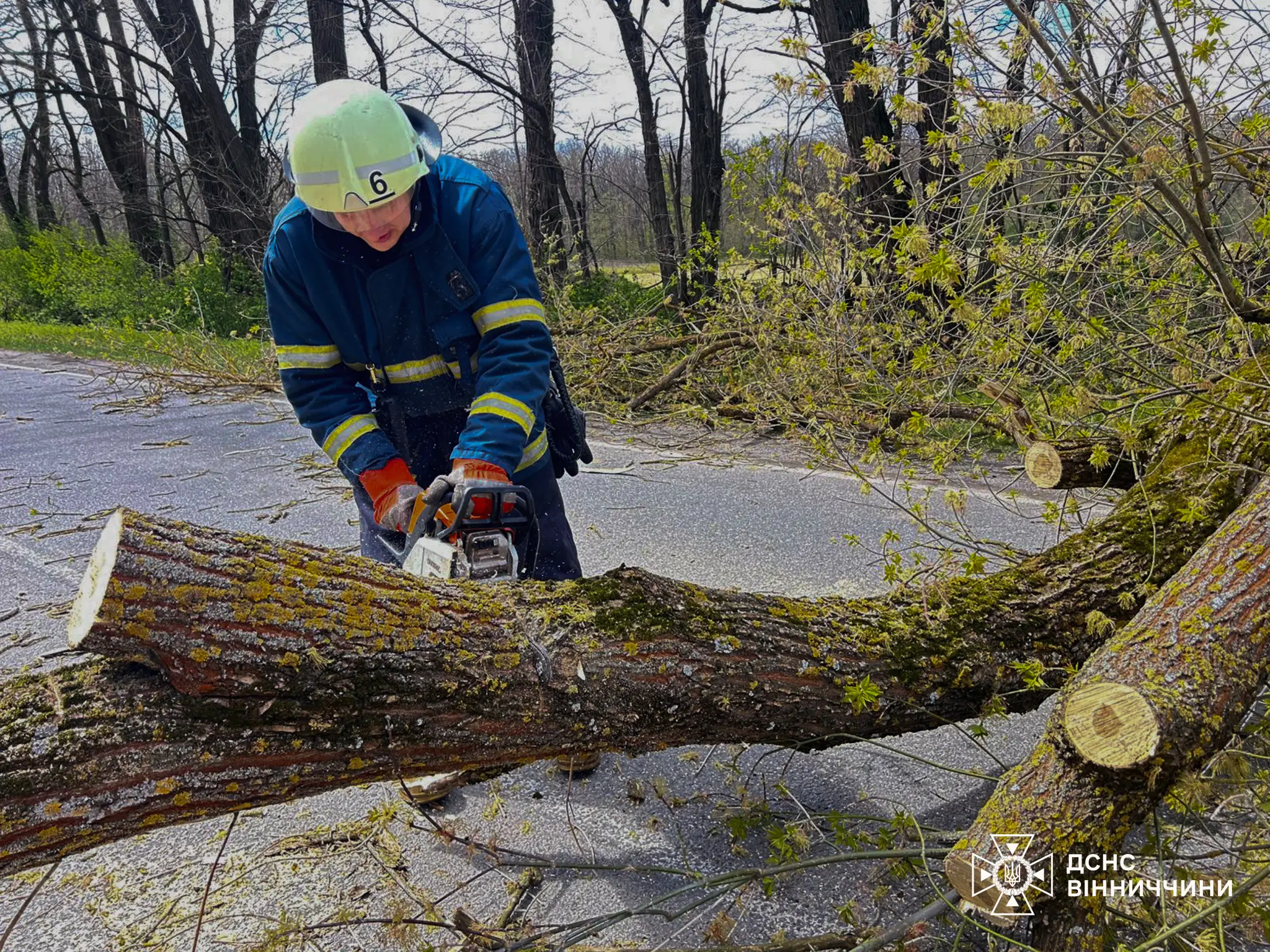 Зображення до новини
