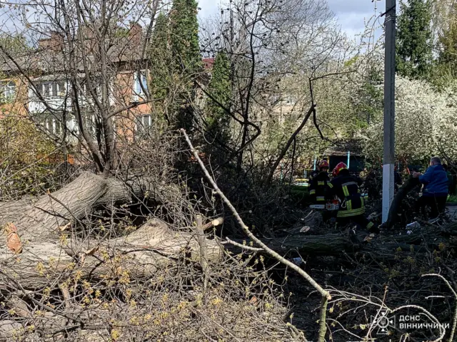 Emergency responders in protective gear assess a fallen tree and debris in a yard with a brick building behind them.