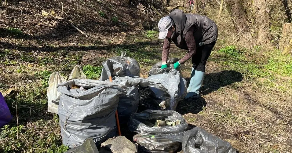 Зображення до новини